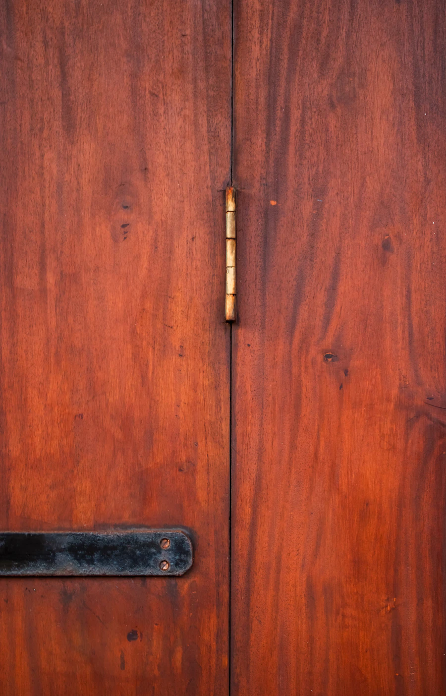 Strap hinge on a reddish timber door
